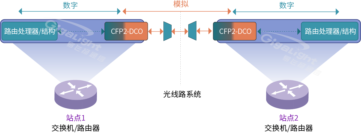 图3：路由器或交换机内的dco dwdm传输