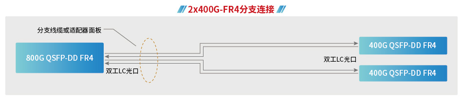 800g技术重新定义网络格局