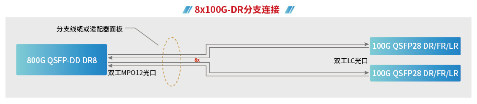 800g技术重新定义网络格局